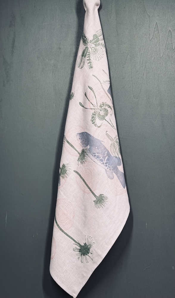 fisk, rose´ – Bild 2